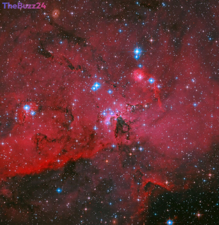 Hubble Captures Dazzling Stellar Nursery Aglow in Crimson Hues