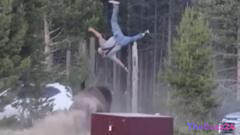 Close Encounter Turns Violent: Yellowstone Bison Flips Grandfather in Dramatic Charge