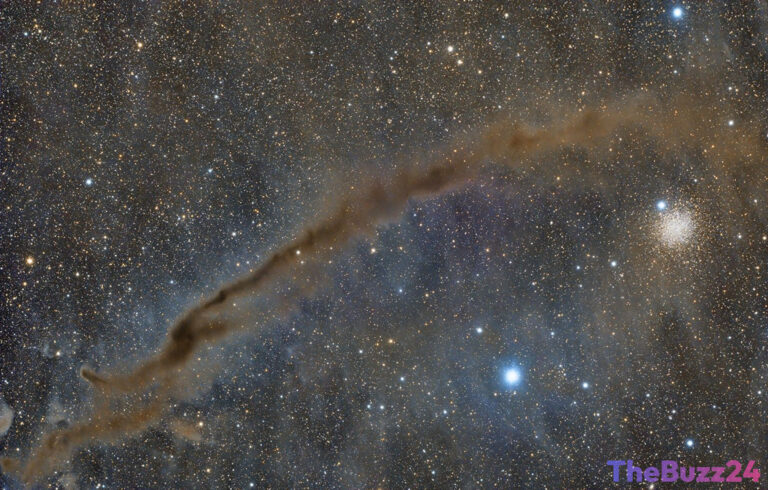 Cosmic Alignment: The Dark Doodad Nebula and Globular Cluster NGC 4372 Shine in Southern Skies