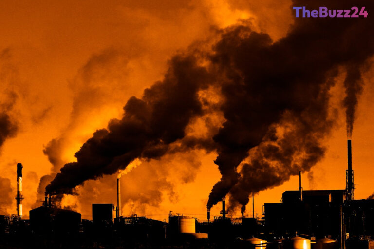 The Hidden Environmental Toll of the AI Revolution