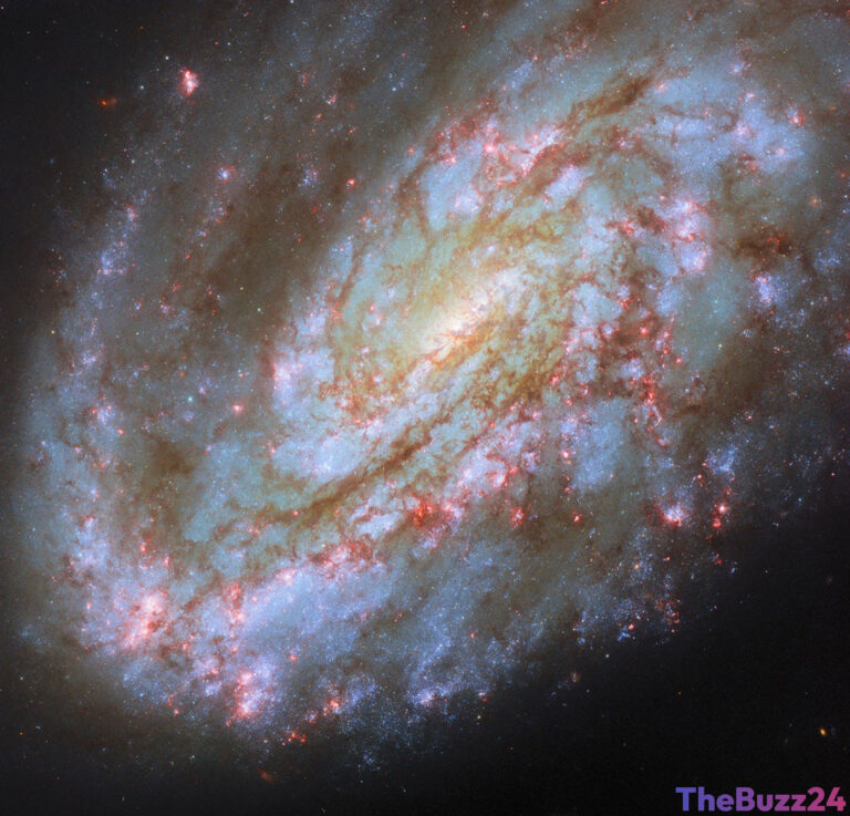 Hubble Space Telescope Captures Stunning View of Asymmetric Spiral Galaxy NGC 4654