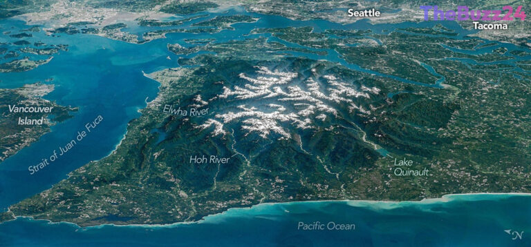 Majestic Heights: Exploring the Dynamic Geology and Ecology of Washington’s Olympic Peninsula