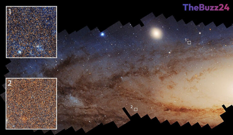 Fading Cosmic Engine: Andromeda Galaxy Experiences Dramatic Drop in Star Formation