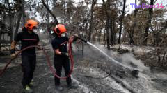 Volunteer Firefighter Under Investigation for Sparking Massive Fontainebleau Forest Blaze