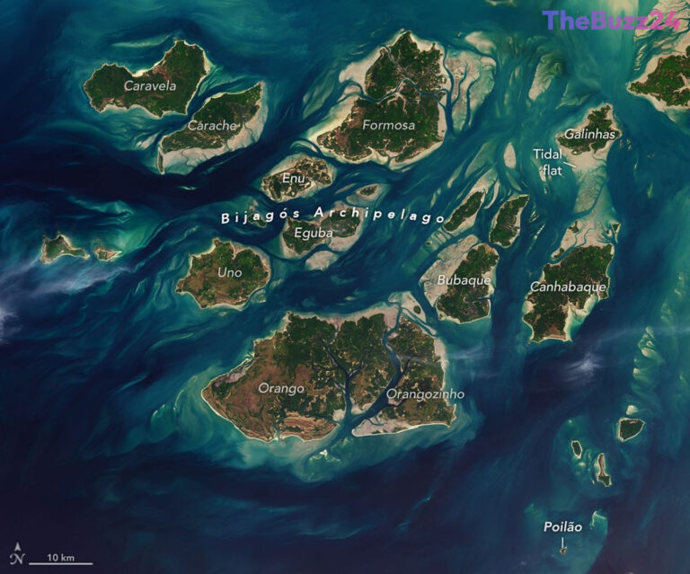 The Bijagós Archipelago: A Tidal Powerhouse of Biodiversity
