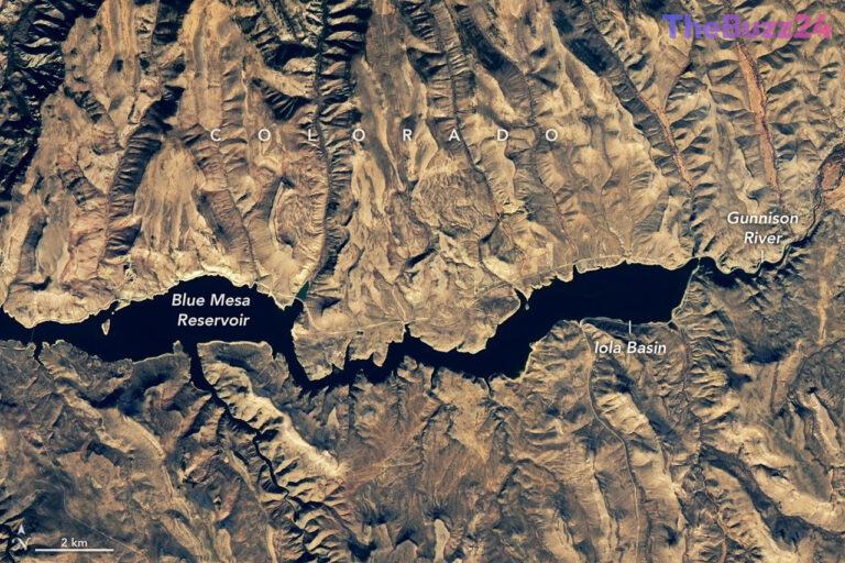 Satellites Uncover Persistent Toxic Algae Threat in Drought-Hit Blue Mesa Reservoir