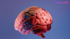 Mapping the Mind: Indian Researchers Unveil World’s Most Detailed 3D Brainstem Atlas