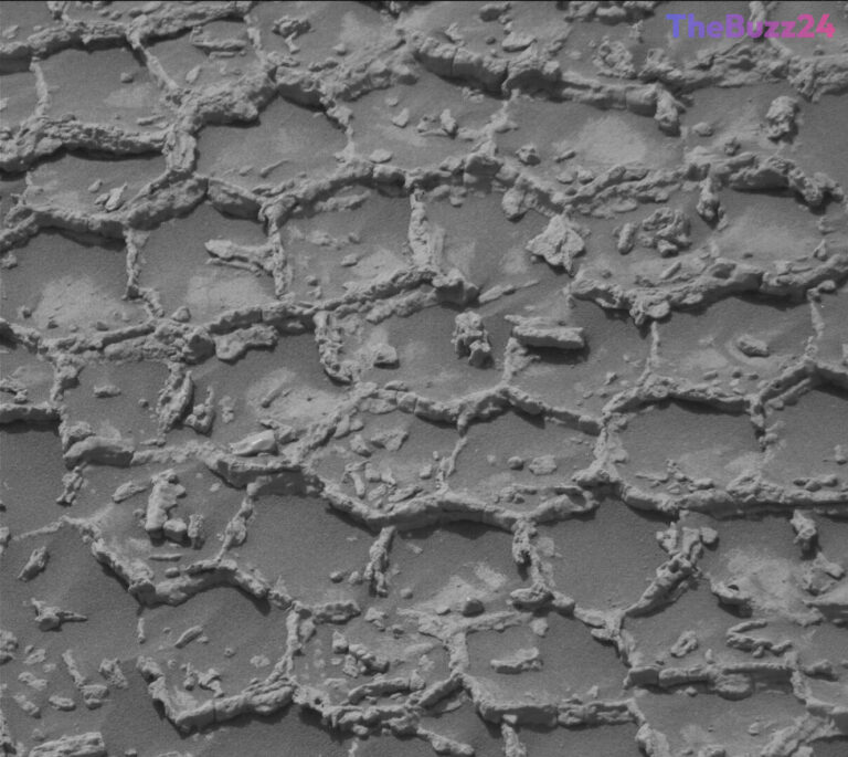 Martian Honeycomb: Curiosity Rover Investigates Mysterious Polygonal Formations and Dark Cobbles in Gale Crater