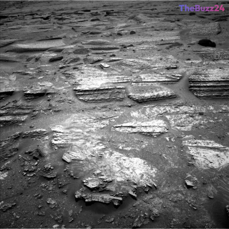 Curiosity Rover Uncovers Striking Geological Patterns in Latest Martian Exploration