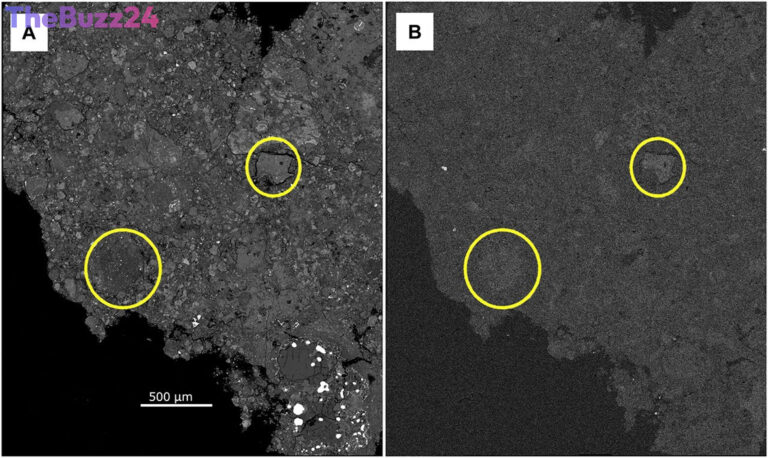 Pristine Meteorite Fall Offers Unprecedented Glimpse into Early Solar System’s Watery Past