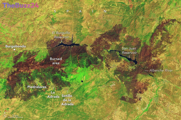 Western Europe Engulfed by Record-Breaking Wildfires