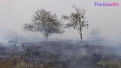Belgium Battles Its Worst Wildfire in Modern History as Blazes Sweep Across Europe