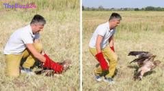 Rare Imperial Eagle Returned to the Wild Following International Rescue Operation