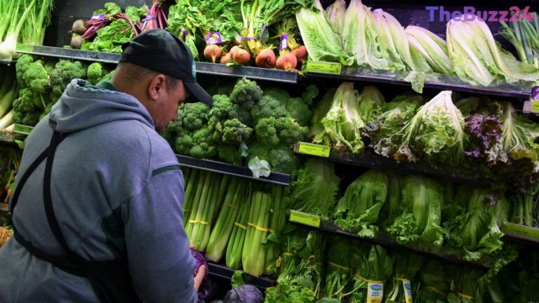 Lettuce Prices Plummet to Record Lows Amid Cyclospora Health Scare