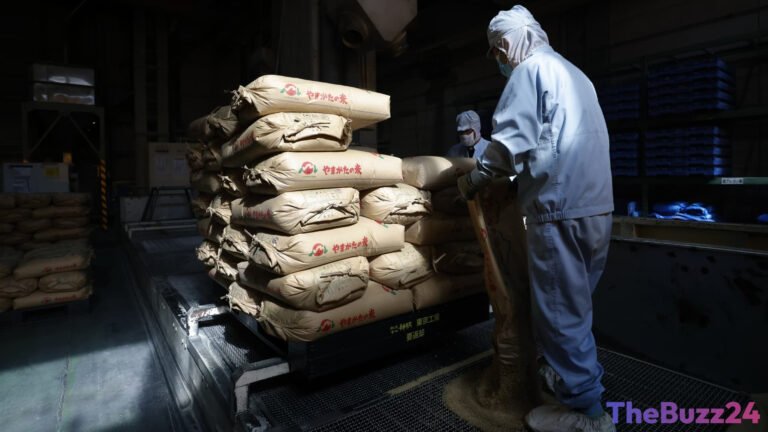 Japan Wholesale Inflation Slows Moderately to 7.2% as Weak Yen Keeps Import Costs High
