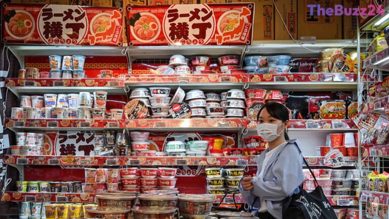 Japan’s Economic Growth Stalls as Domestic Demand Falters