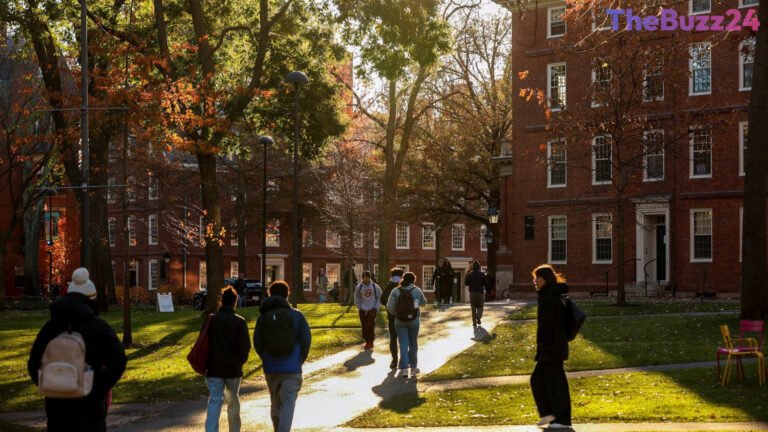Tighter Visa Regulations Spark Steep Decline in International Students Seeking U.S. Degrees