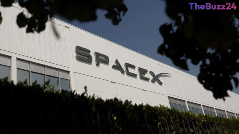SpaceX Short Sellers Retreat as Stock Stages Significant Recovery