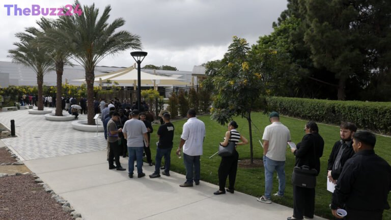 Economists Warn Falling Long-Term Unemployment Hides Deeper Labor Market Woes