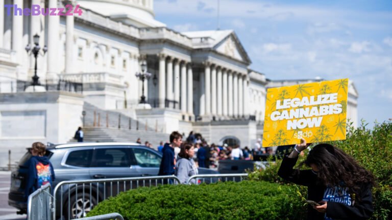 Cannabis Reform Takes Center Stage as Midterm Elections Approach