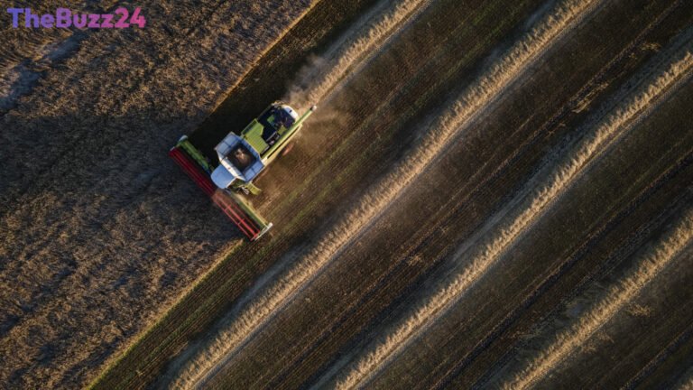 Global Food Supply Faces ‘Perfect Storm’ as Grain Prices Skyrocket