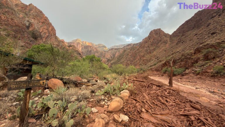 Grand Canyon Operations Halted as Search Continues Following Deadly Flash Flood