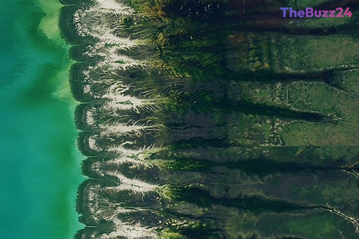 Putting Your Geography Skills to the Test with the August 2026 Satellite Puzzler