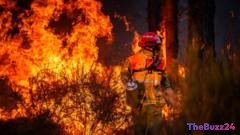 France Cracks Down on Arson and Negligence as Unprecedented Wildfires Ravage Countryside