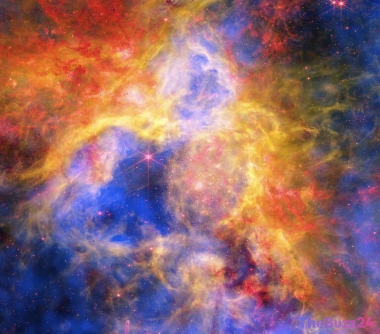 Unveiling the Tarantula Nebula: Multi-Telescope Data Reveals Dynamic Energy Processes