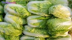 China Investigates Formaldehyde Use in Cabbage Preservation Amid Food Safety Concerns