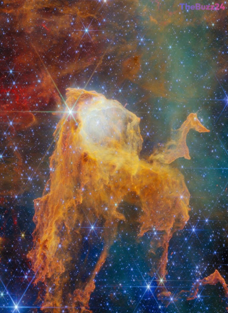 James Webb Space Telescope Reveals Stunning Details of the Carina Nebula’s ‘Treasure Chest’