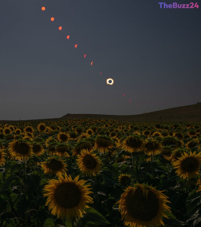 Celestial Spectacle: Total Solar Eclipse Traces Path Across Northern Hemisphere