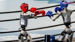 Beijing Hosts Inaugural World Humanoid Games Showcasing Robotic Athleticism