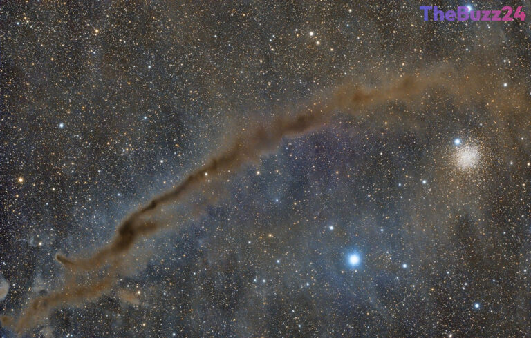 Exploring the Cosmic Tapestry: NGC 4372 and the Dark Doodad Nebula