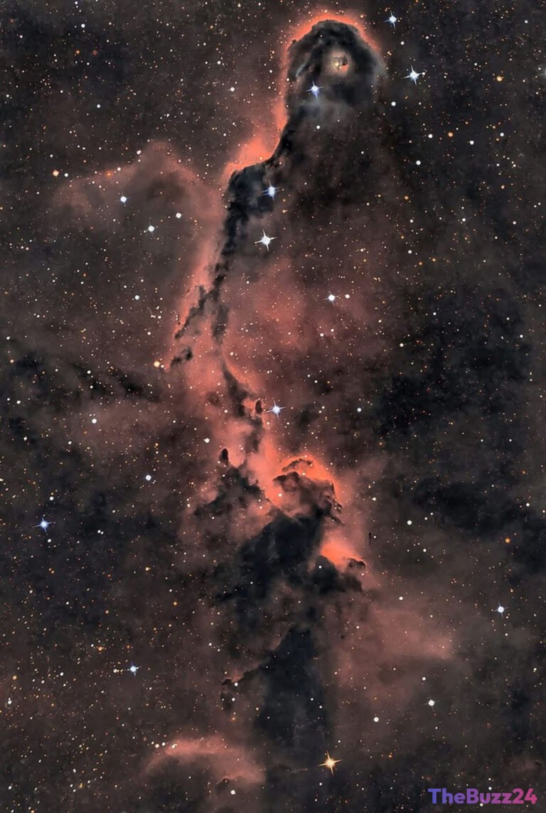 Cosmic Nursery Unveiled: The Majestic Elephant’s Trunk Nebula in Cepheus