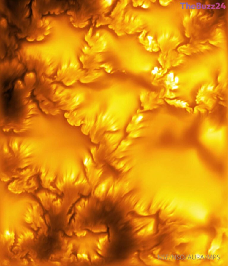 Unprecedented Solar Images Confirm Long-Hypothesized Plasma Waves on the Sun’s Surface