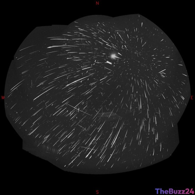 Perseid Meteor Shower Dazzles with Over 1,700 Streaks in All-Sky Spectacle