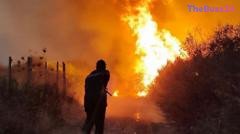 Algeria Moves to Impose Death Penalty for Arson Following Deadly Wildfires