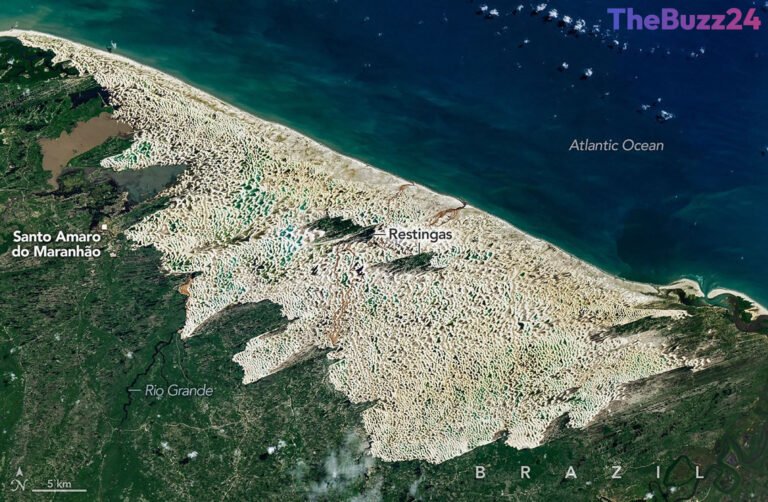 Brazil’s Shifting Sands: The Paradoxical Oasis of Lençóis Maranhenses National Park