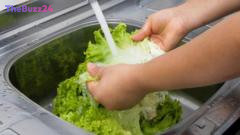 Deadly Cyclospora Outbreak Claims Lives in US, Spreading Across 45 States