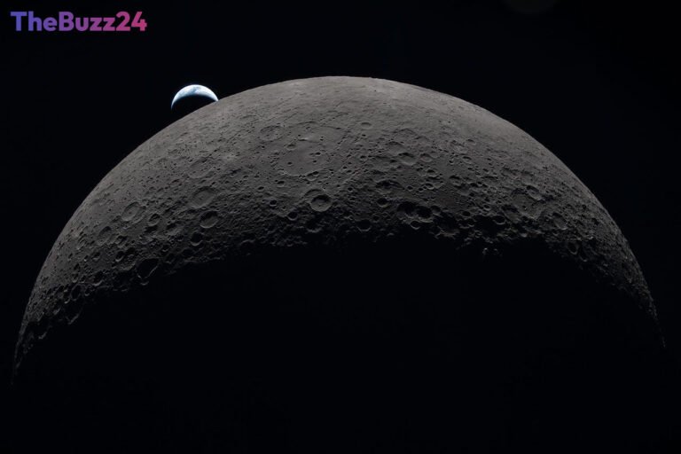 Lunar Shadows: Earth Microbes Could Endure at Moon’s South Pole, NASA Study Reveals