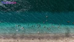 Oceans Shatter Temperature Records as El Niño and Climate Change Fuel Global Heatwaves