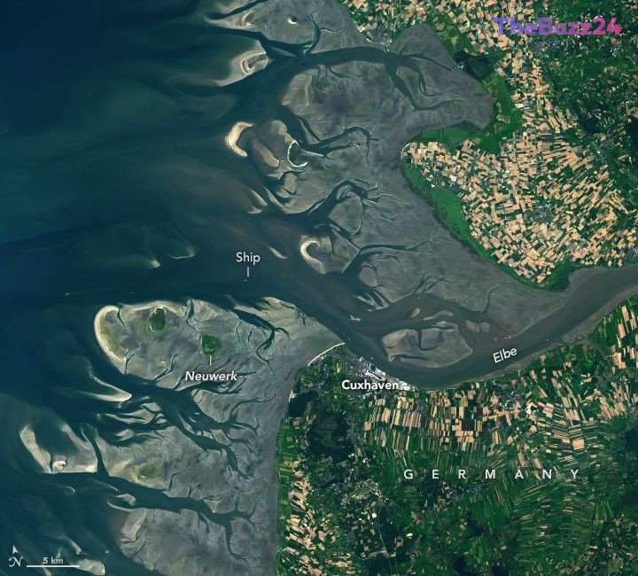 The Dynamic Pulse of the Elbe: How Tides Shape Europe’s Vital Waterway