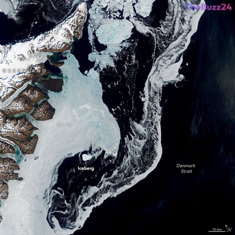 Massive Greenland Iceberg Drifts Southward into the Denmark Strait