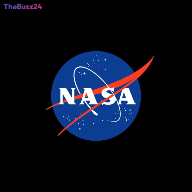 NASA Taps Four Firms for Crucial Payload Processing Services