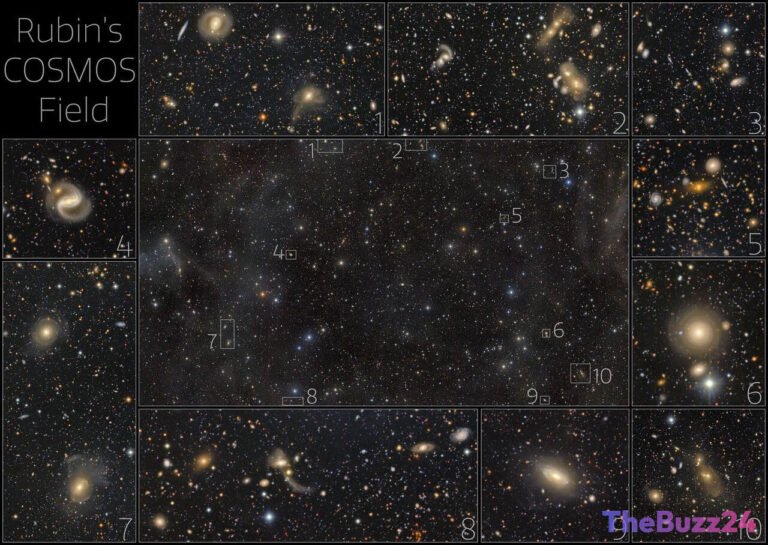 Deep-Space Breakthrough: Rubin Observatory Unveils Dynamic View of 500,000 Galaxies in COSMOS Field