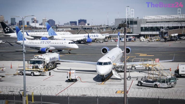 Fiber-Optic Cable Severed During Construction Stalls Hundreds of Flights Across U.S. Northeast