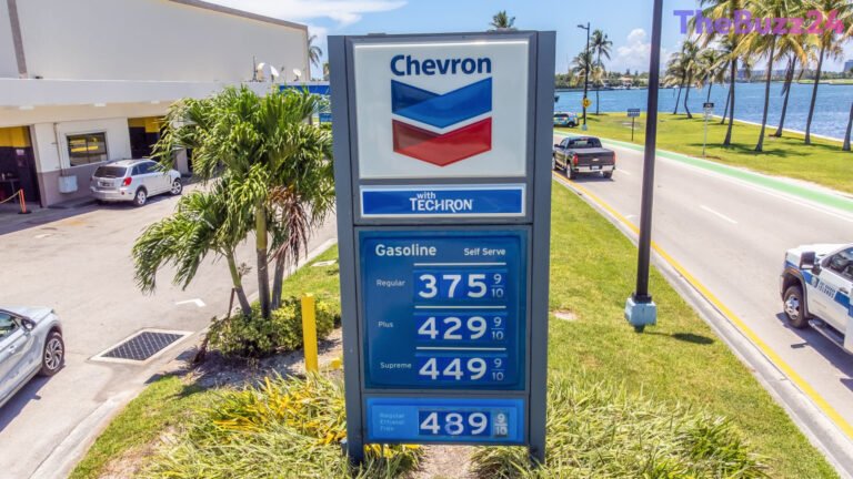 Top Wall Street Picks: Three Dividend Stocks for Reliable Income in Volatile Markets