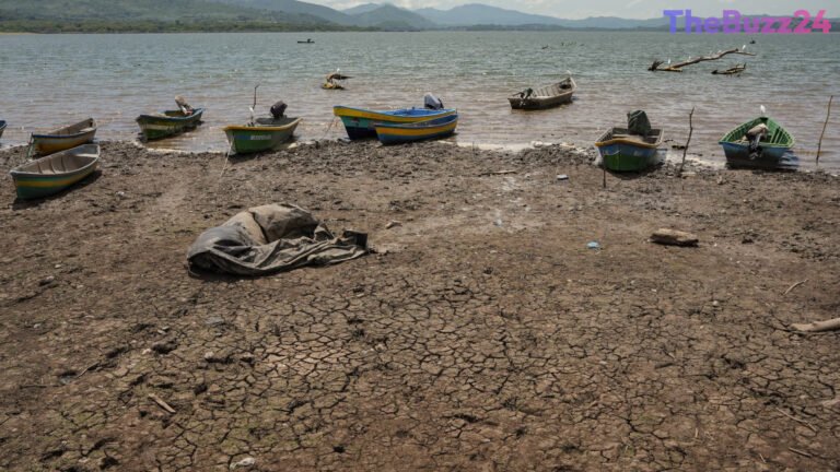 Global Alert: “Supersized” El Niño Threatens World Economy and Triggers Extreme Weather Until 2027