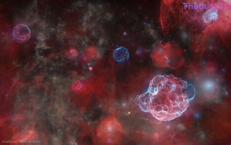 Astronomers Capture Stunning Deep-Space Image Revealing Five Ancient Supernova Remnants